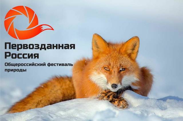 С 25 по 29 ноября в Чувашии пройдет Фестиваль экологического кино «Первозданная Россия»